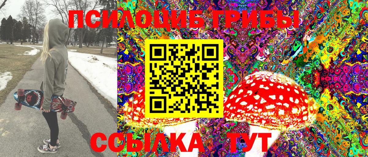 Псилоцибиновые грибы Psilocybine cubensis Электросталь