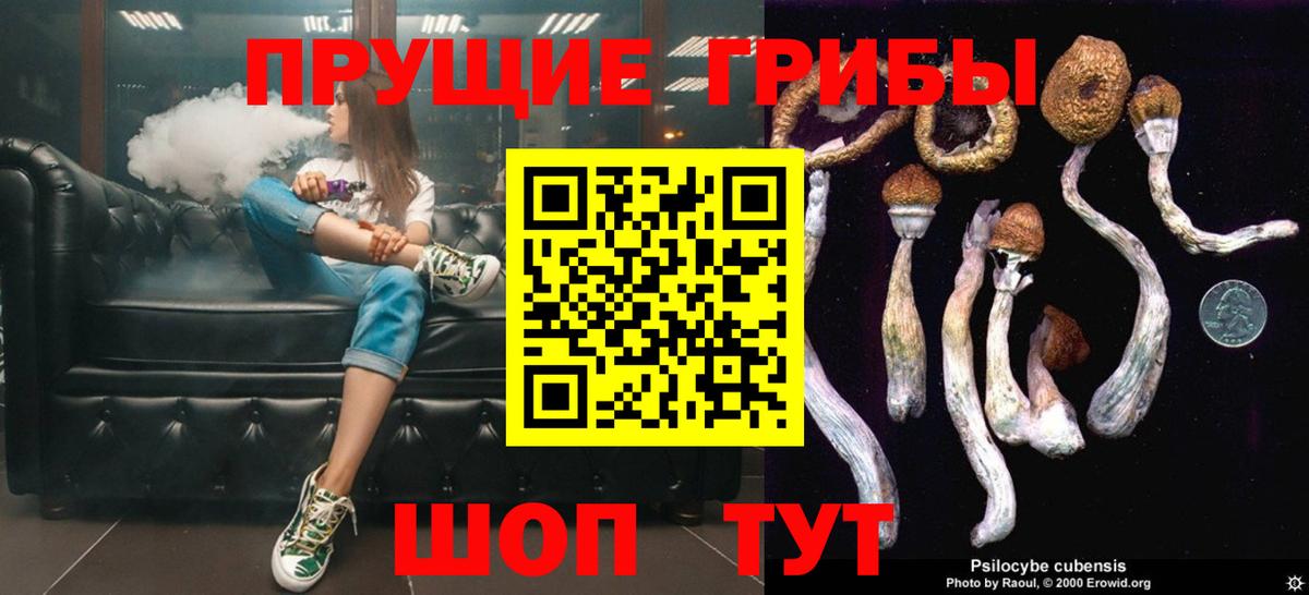 Галлюциногенные грибы мухоморы  Вход с VPN  Электросталь  Псилоцибиновые грибы мицелий 